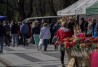 Kliknij aby obejrzec w pelnym rozmiarze 